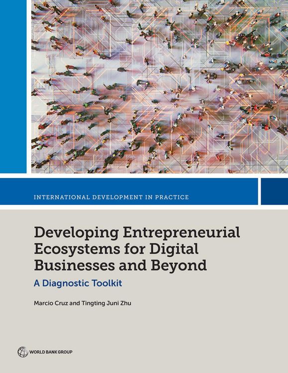 Produktbild: Developing Entrepreneurial Ecosystems for Digital Businesses and Beyond