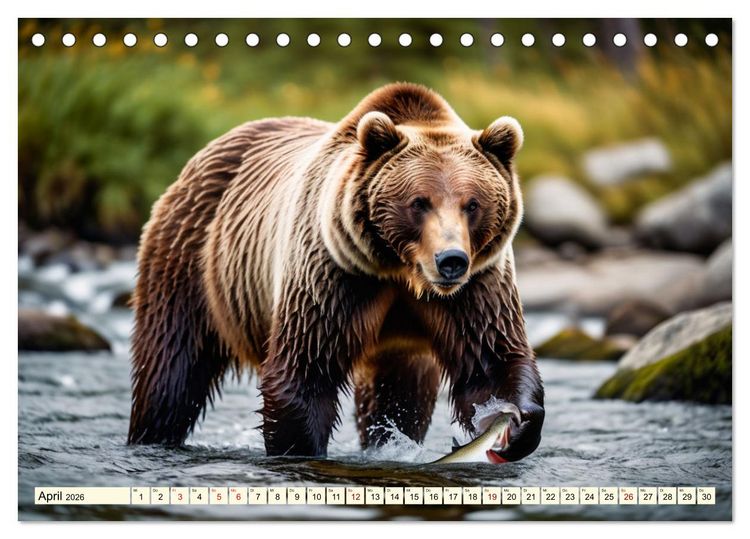 Produktbild: Gro&szlig;e und kleine B&auml;ren (Tischkalender 2026 DIN A5 quer), CALVENDO Monatskalender
