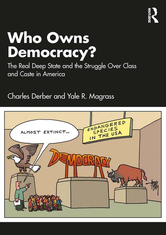 Produktbild: Who Owns Democracy?