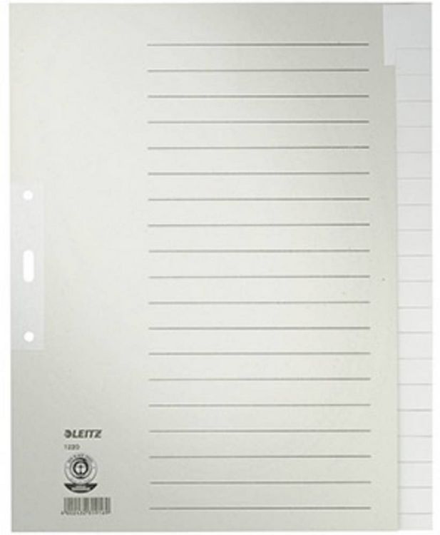 Produktbild: Leitz 1220 Register DIN A4, &Uuml;berbreite blanko Tauenpapier Grau 20 Registerbl&auml;tter 12200085