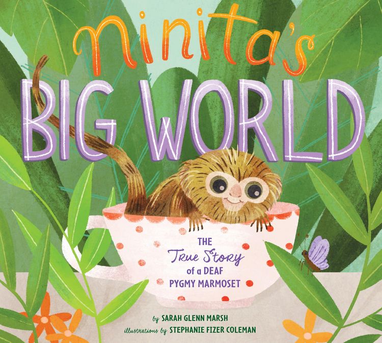 Produktbild: Ninita's Big World