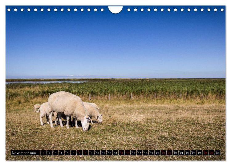 Produktbild: Insel Fehmarn - Impressionen eines Sommertages an der Ostsee (Wandkalender 2026 DIN A4 quer), CALVENDO Monatskalender