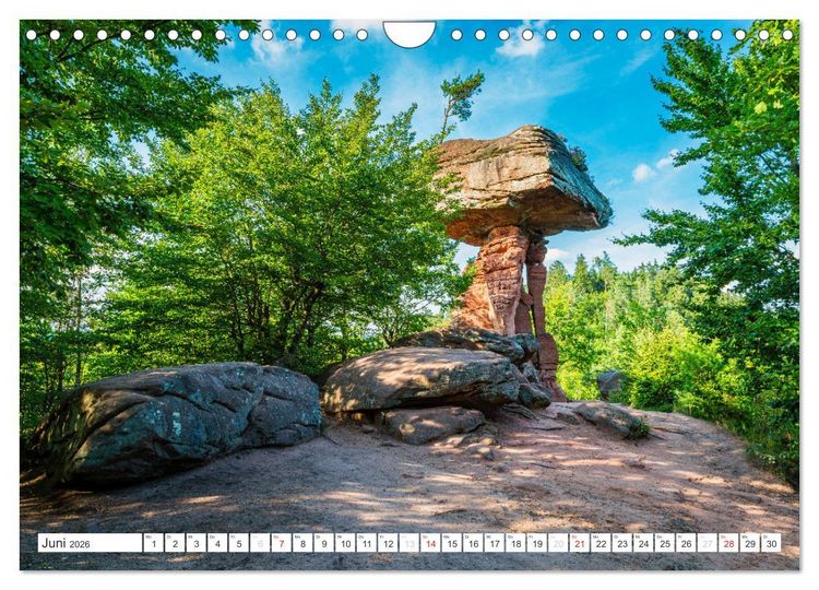 Produktbild: Pf&auml;lzer Sehensw&uuml;rdigkeiten (Wandkalender 2026 DIN A4 quer), CALVENDO Monatskalender