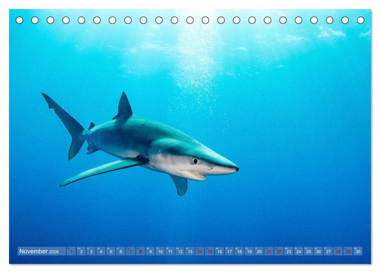 Produktbild: Tauchen, Fische und Meer (Tischkalender 2026 DIN A5 quer), CALVENDO Monatskalender