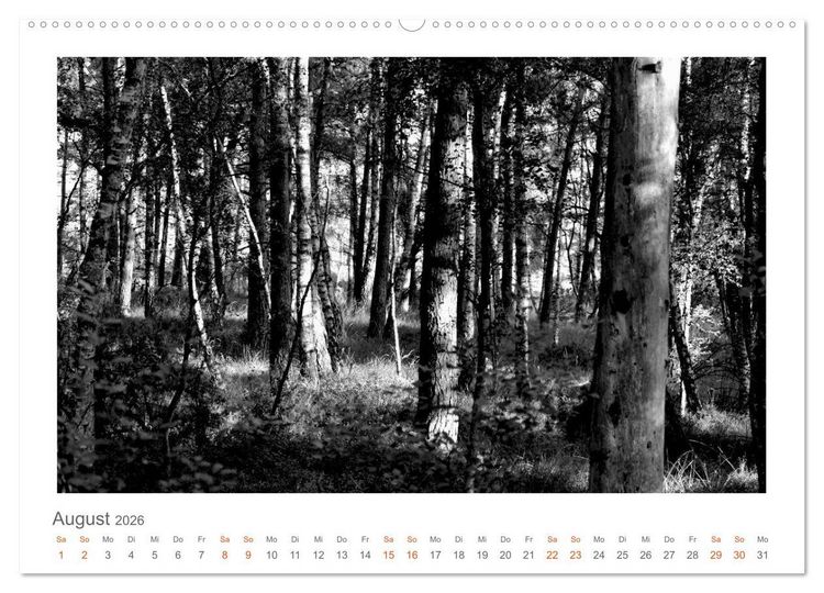 Produktbild: Quo Vadis? W&auml;lder und Wege in der R&ouml;hn, L&uuml;neburger Heide und der Mecklenburgischen Seenplatte (Wandkalender 2026 DIN A2 quer), CALVENDO Monatskalender