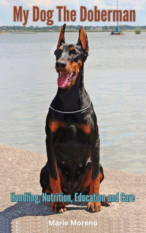 Produktbild: My Dog The Doberman, Handling, Nutrition, Education and Care