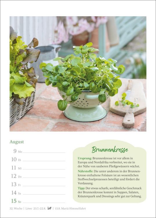 Produktbild: Der kleine K&uuml;chenkalender Wochenkalender 2027 - Wochenkalender mit praktischen Tipps