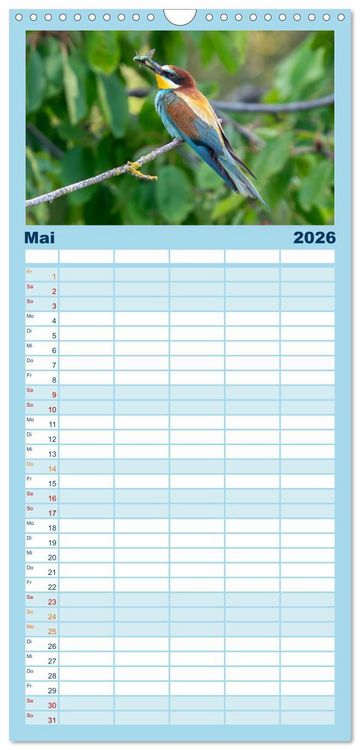Produktbild: Familienplaner 2026 - Unsere Vogelvielfalt: Ein Schatz zum Entdecken und Sch&uuml;tzen mit 5 Spalten (Wandkalender, 21 x 45 cm) CALVENDO