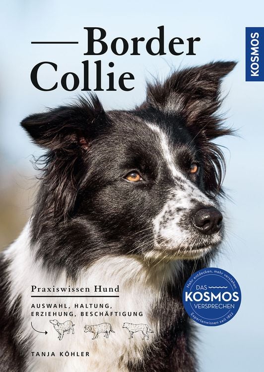 Produktbild: Border Collie