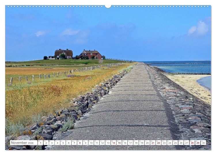 Produktbild: Sommertage auf Hallig Hooge (hochwertiger Premium Wandkalender 2026 DIN A2 quer), Kunstdruck in Hochglanz