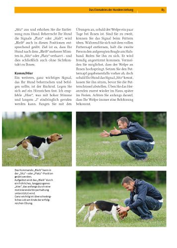 Produktbild: Beagle