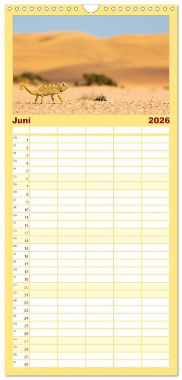 Produktbild: Familienplaner 2026 - Wildes Namibia mit 5 Spalten (Wandkalender, 21 x 45 cm) CALVENDO