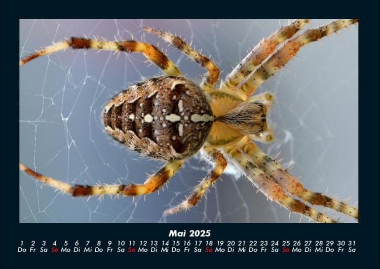 Produktbild: Der Tierkalender 2025 Fotokalender DIN A4