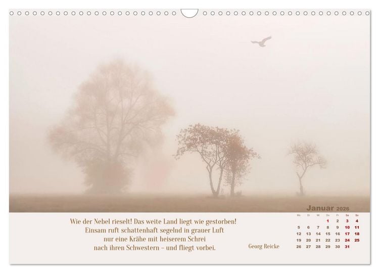 Produktbild: Nebelfarben. Ein poetischer Spaziergang (Wandkalender 2026 DIN A3 quer), CALVENDO Monatskalender