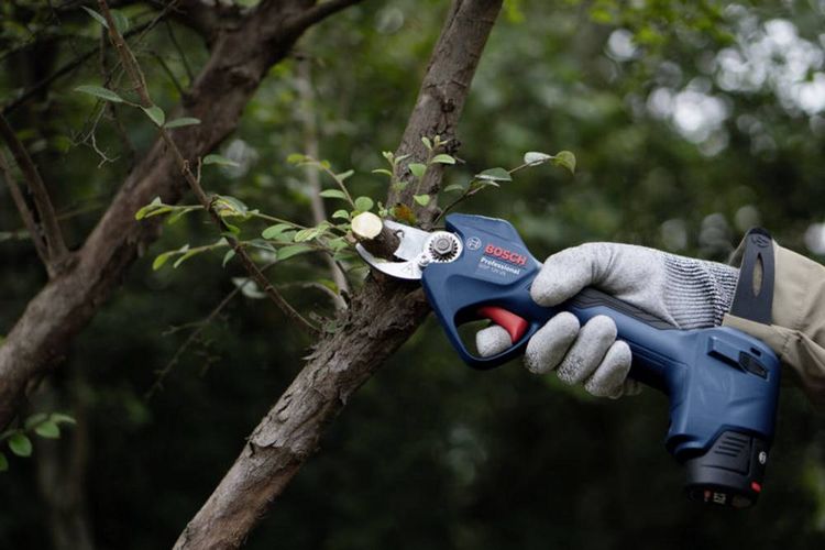 Produktbild: Bosch Professional 06008D8101 GGP 12V-25 Akku Akku-Gartenschere 12V