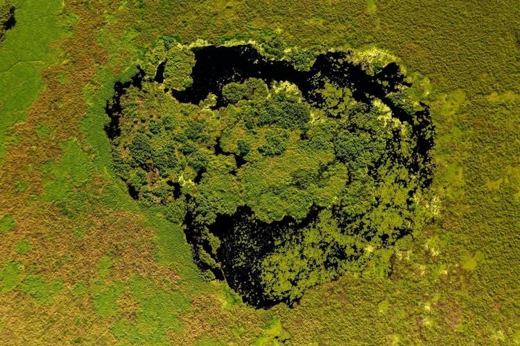Produktbild: Pantanal