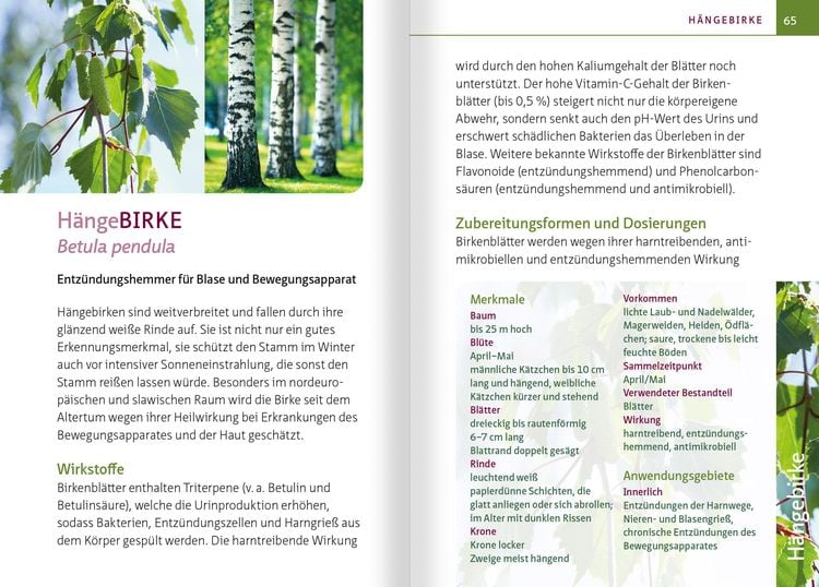 Produktbild: Grüne Hausapotheke für Hunde. Kompakt-Ratgeber