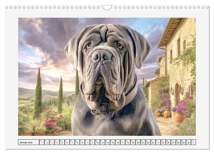 Produktbild: Mastino Napoletano. Die gelassenen Molosser mit antiken Vorfahren (Wandkalender 2026 DIN A3 quer), CALVENDO Monatskalender