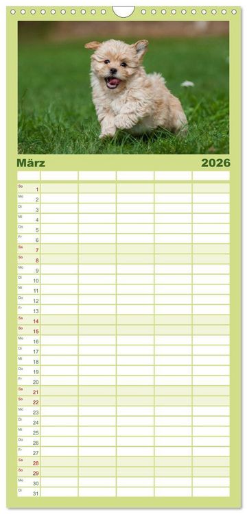 Produktbild: Familienplaner 2026 - Welpen 2026 mit 5 Spalten (Wandkalender, 21 x 45 cm) CALVENDO