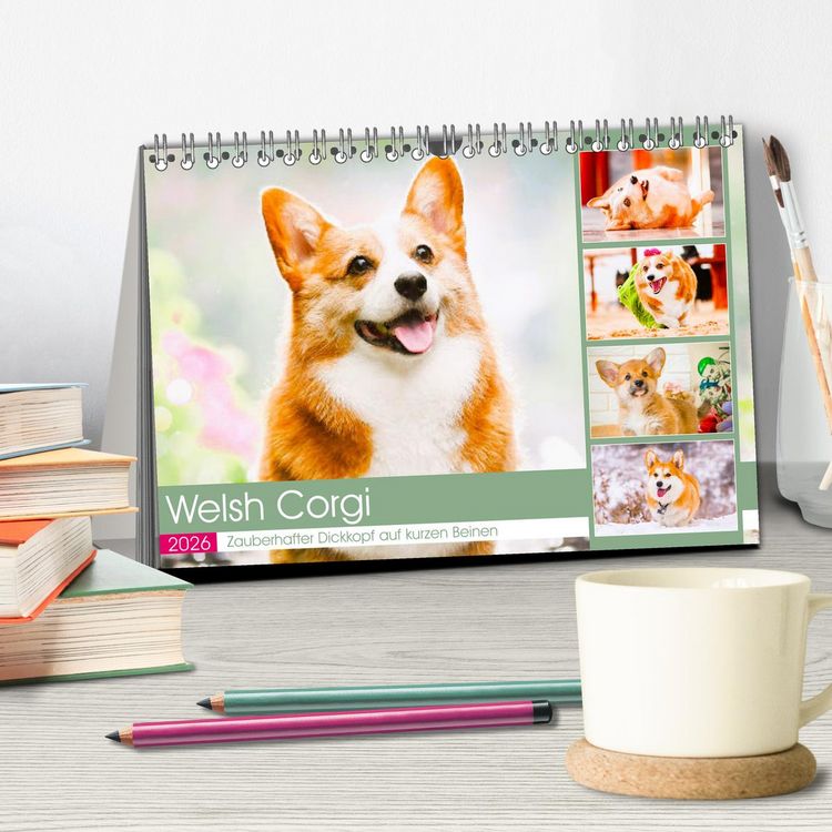 Produktbild: Welsh Corgi. Zauberhafter Dickkopf auf kurzen Beinen (Tischkalender 2026 DIN A5 quer), CALVENDO Monatskalender