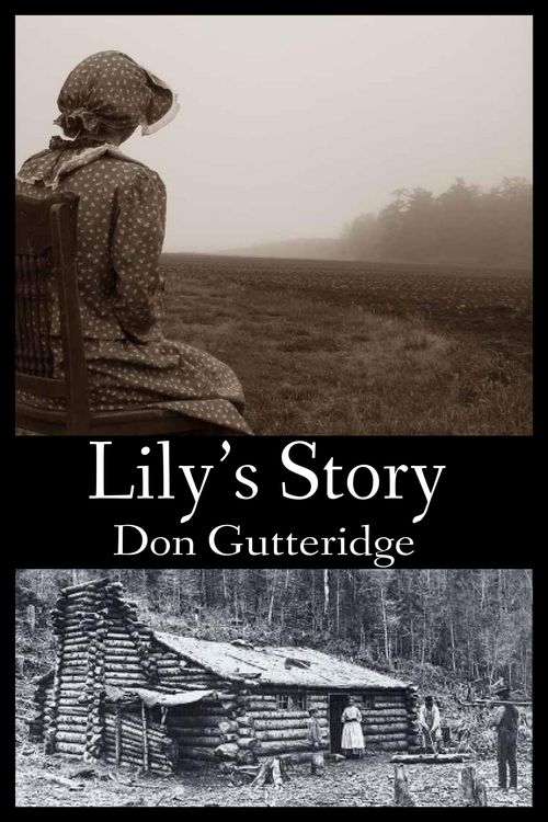 Produktbild: Lily's Story