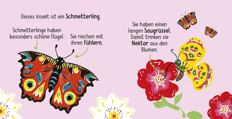 Produktbild: 50 W&ouml;rter &uuml;ber die Natur - Insekten