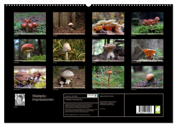 Produktbild: Waldpilz-Impressionen (hochwertiger Premium Wandkalender 2026 DIN A2 quer), Kunstdruck in Hochglanz