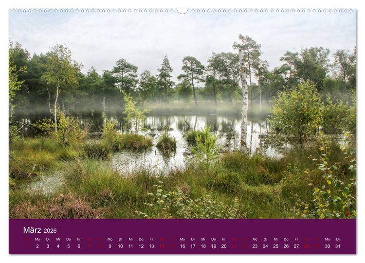Produktbild: Die Heide bl&uuml;ht (hochwertiger Premium Wandkalender 2026 DIN A2 quer), Kunstdruck in Hochglanz
