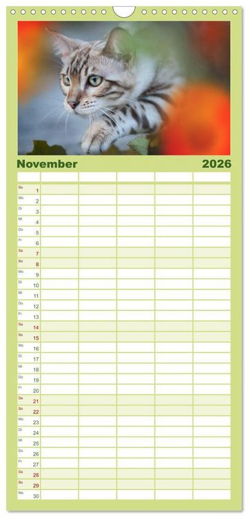 Produktbild: Familienplaner 2026 - Bengalen Outdoor und Action mit 5 Spalten (Wandkalender, 21 x 45 cm) CALVENDO