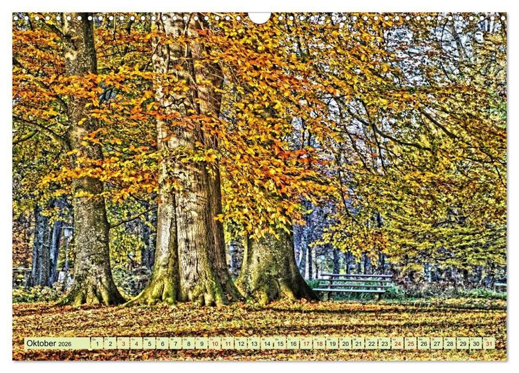Produktbild: Verwunschene Waldtr&auml;ume: Ein Kalender voller Magie (Wandkalender 2026 DIN A3 quer), CALVENDO Monatskalender