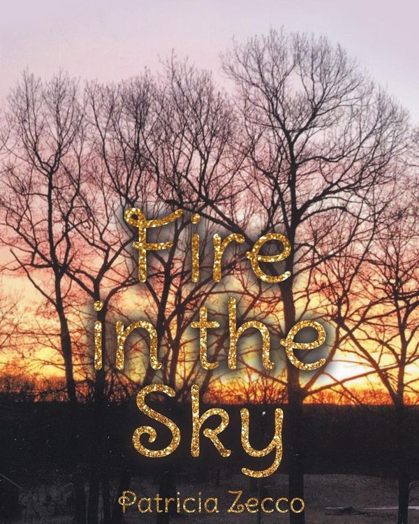 Produktbild: Fire in the Sky