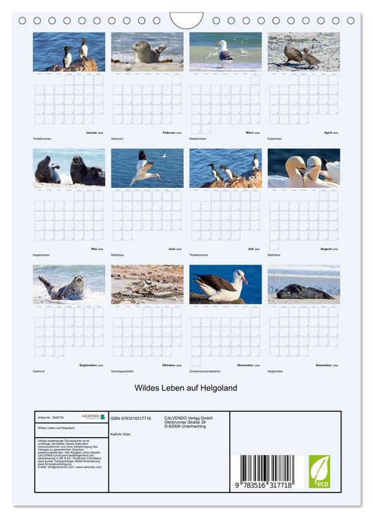 Produktbild: Wildes Leben auf Helgoland (Wandkalender 2026 DIN A4 hoch), CALVENDO Monatskalender
