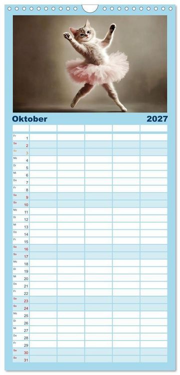 Produktbild: Familienplaner 2027 - Lustige Sportarten f&uuml;r Katzen mit 5 Spalten (Wandkalender, 21 x 45 cm) CALVENDO