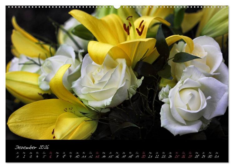 Produktbild: Florales Sonett - Visuelle Musik der Blumen (Wandkalender 2026 DIN A2 quer), CALVENDO Monatskalender