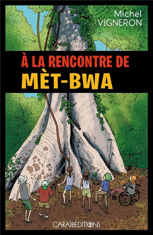 Produktbild: A la Rencontre de Met-Bwa