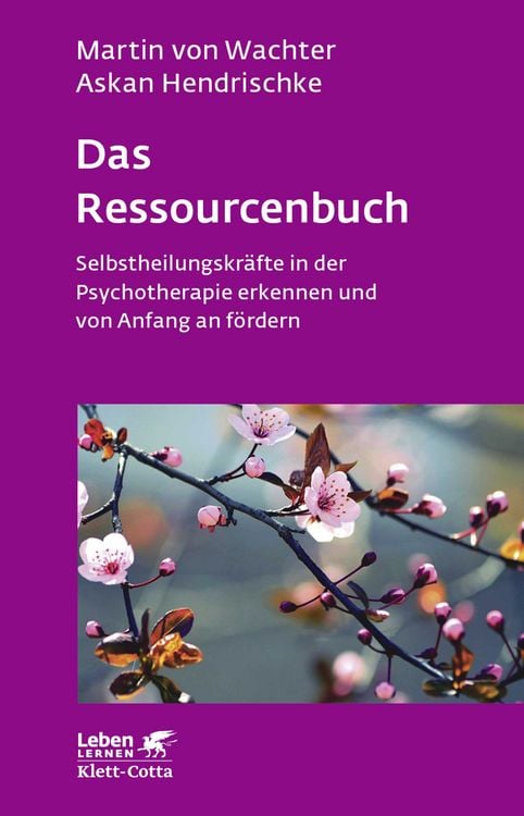 Bild vom Artikel Das Ressourcenbuch (Leben Lernen, Bd. 289) vom Autor Martin Wachter