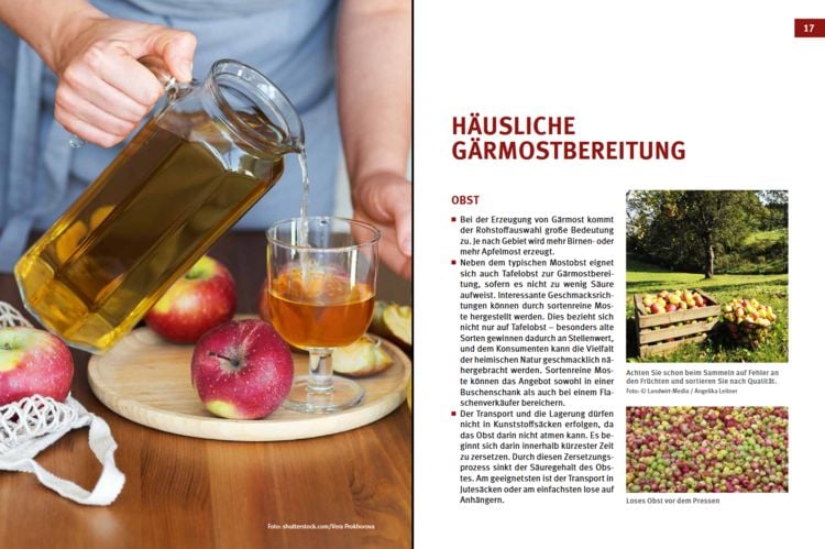 Produktbild: Cider, Most & Apfelwein