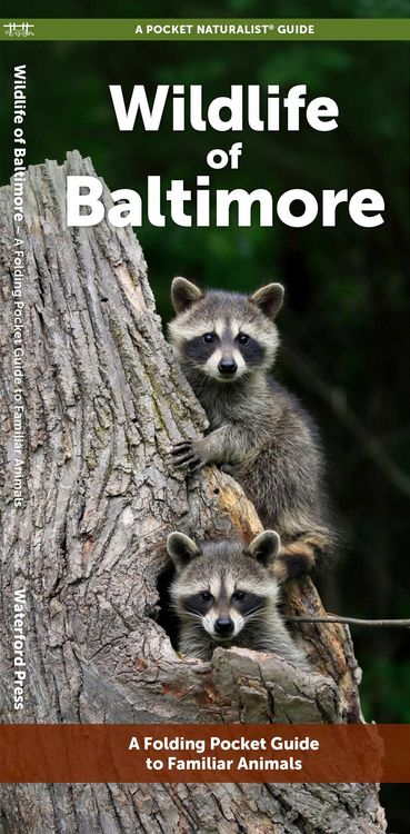 Produktbild: Wildlife of Baltimore
