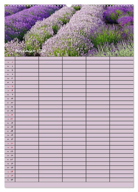 Produktbild: Naturzauber Lavendel - Familienplaner (Wandkalender 2026 DIN A2 hoch), CALVENDO Monatskalender