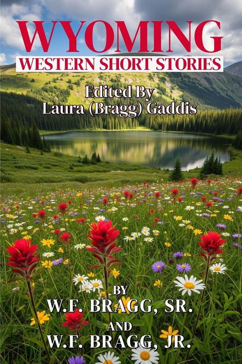Produktbild: Wyoming Western Short Stories