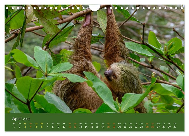 Produktbild: Costa Rica - Naturparadies zwischen Karibik und Pazifik (Wandkalender 2026 DIN A4 quer), CALVENDO Monatskalender