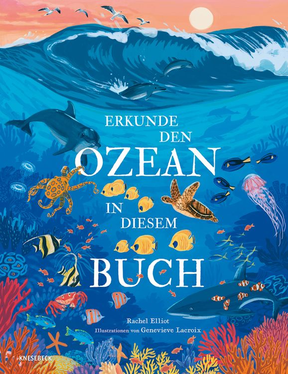 Produktbild: Erkunde den Ozean in diesem Buch