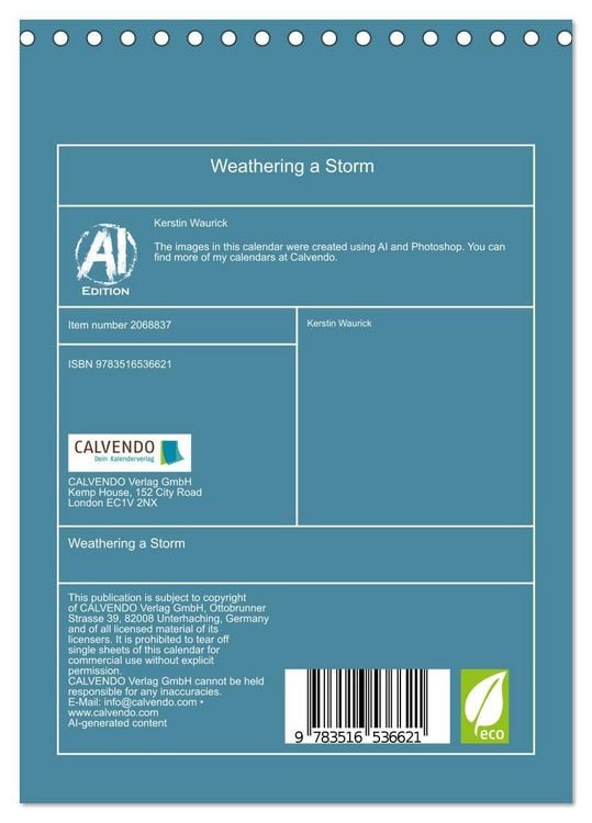 Produktbild: Weathering a Storm (Desk Calendar 2026 DIN A5 portrait), CALVENDO 12 Month DeskCalendar