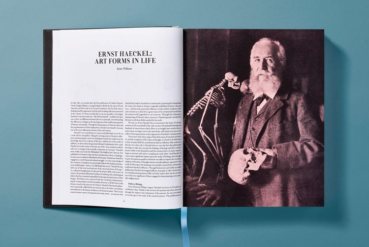 Produktbild: The Art and Science of Ernst Haeckel