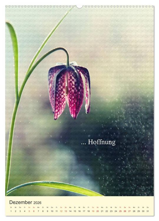 Produktbild: flowers (hochwertiger Premium Wandkalender 2026 DIN A2 hoch), Kunstdruck in Hochglanz