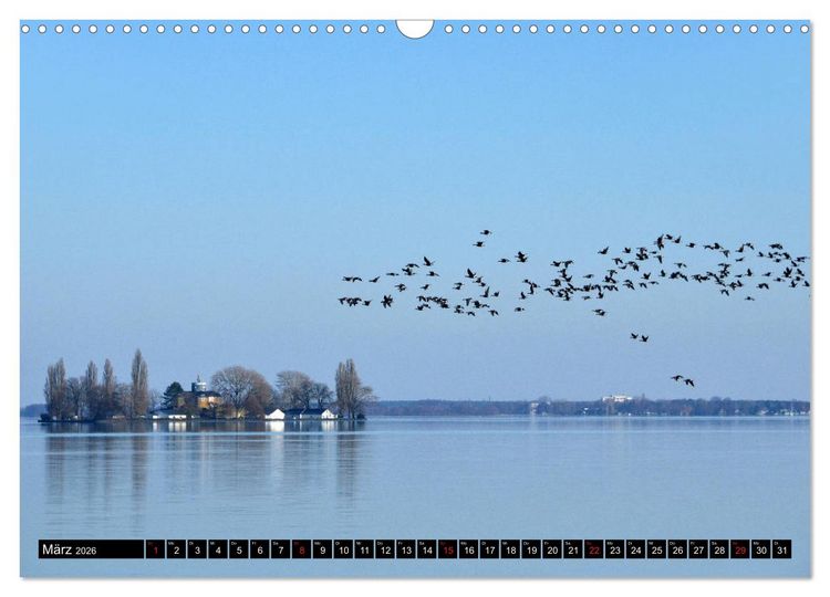 Produktbild: Steinhuder Meer, Momentaufnahmen von Christine Bienert (Wandkalender 2026 DIN A3 quer), CALVENDO Monatskalender