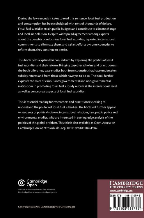 Produktbild: The Politics of Fossil Fuel Subsidies and Their Reform