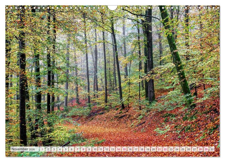 Produktbild: Idyllische Wanderwege im Bergischen Land (Wandkalender 2026 DIN A3 quer), CALVENDO Monatskalender