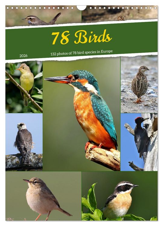 Produktbild: 78 Birds (Wall Calendar 2026 DIN A3 portrait), CALVENDO 12 Month Wall Calendar