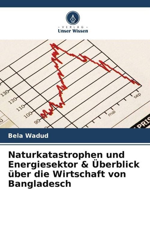 Produktbild: Naturkatastrophen und Energiesektor & &Uuml;berblick &uuml;ber die Wirtschaft von Bangladesch